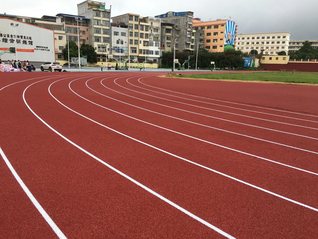 酒泉市学校塑胶跑道塑胶跑道材料 - 厂家